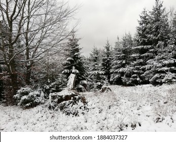 On a cold winter day in a forest in the Eifel