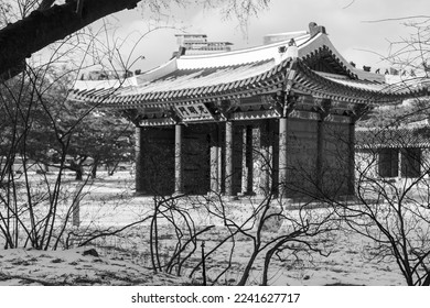 On a cold winter day, the scenery of Deoksugung Palace Gwangmyeongmun Gate in the snow scene.

光明門 : Gwangmyeongmun Gate

Black and White.