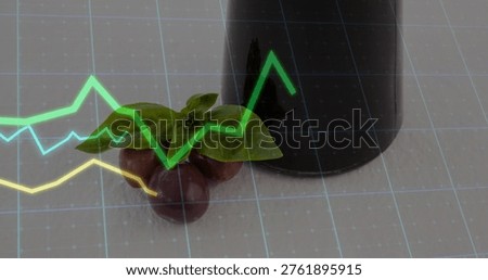 On data input, grid overlaying and plotting food data across fruit cluster and bottle resting. Plums, basil, stilllife, vessel, turquoise, neon, green