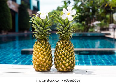 On the edge of the pool are two pineapples on a tropical island. Fruits, healthy food, summer.
