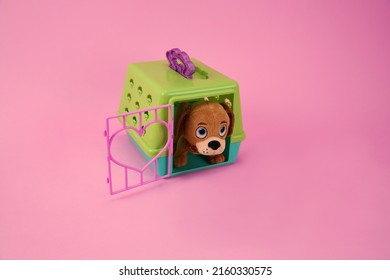 On The Floor In The Toy Dog Kennel