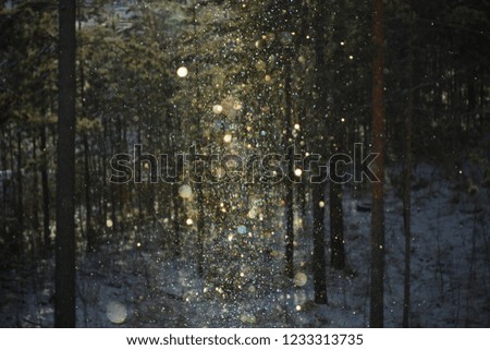 Similar – Hänsel & Gretel (Winter Forest)