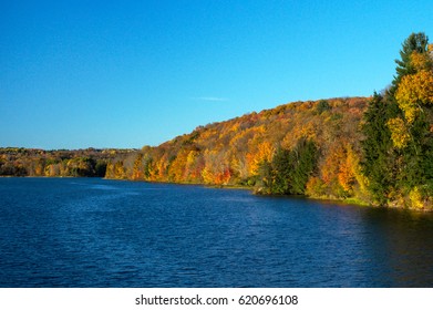 On A Golden Lake.  Lackawanna State Park In Pennsylvania