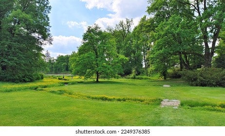 On a grassy lawn in the city park, with a creek running through it there are oaks. Their branches are spread wide, and young leaves are blooming on them. Yellow flowers grow on the banks of the creek.