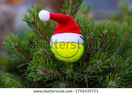 On a green fir tree yellow tennis ball in a santa hat. New year and Christmas festive background. Sport , tennis  concept.
