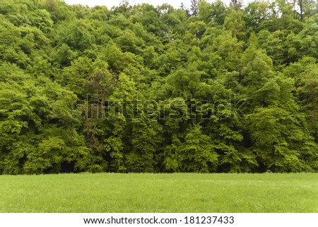 Similar – Image, Stock Photo Palatinate Forest Germany