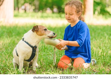 On hot summer day girl watering dog in park. Dog drinking water from special pet bottle.  - Powered by Shutterstock