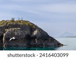 On a Lofoten isle, white-tailed eagles observe their domain from high on rocky ledges, as a seagull glides over the tranquil aquamarine sea. Norway