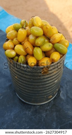 On May 13, 2025, at Karaitheevu, Ampara District, palmyra fruits (Paalapazham) were displayed in a tin cup at a village market. These fruits are sold for LKR 100, reflecting Tamil food culture.
