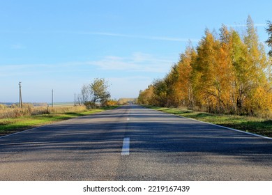 On The Median Strip Of A Country Road