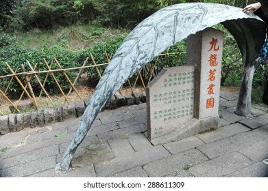 On October 3, 2013, Fujian Nanping Wuyishan Tea Plantations, Tea.