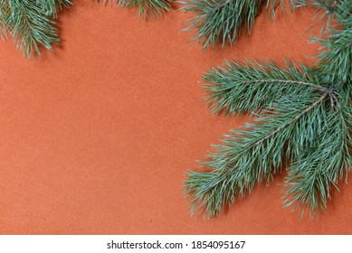 On an orange fabric background, a frame made of live fluffy pine branches.