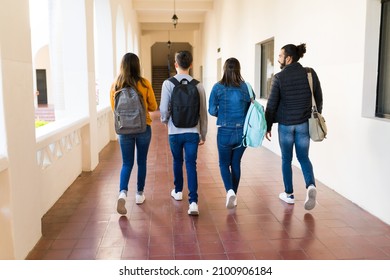 On Our Way To Class. Rear View Of Freshman Friends With Backpacks Walking On The College Hallway 