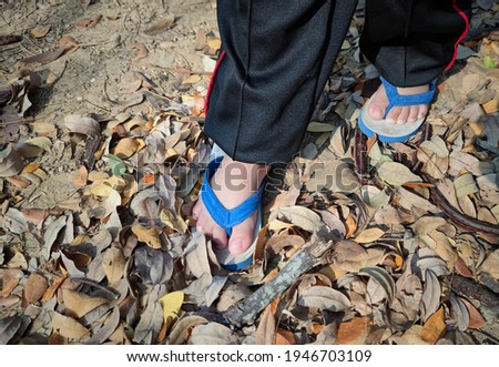 On an outdoor floor with brown dry leaves close to the feet of a child wearing blue-and-white sandals.