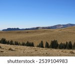 On the path from Piatra Arsa to the Sphinx