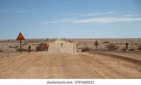 On pathless roads into infinity In the Namib desert