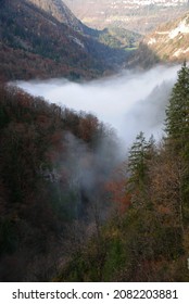 On The Paths Of The Chamois Trail, Haut Jura, In The Fall 