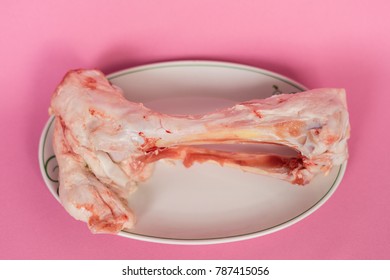 on a pink surface in a white plate lies a bone with meat - Shutterstock ID 787415056
