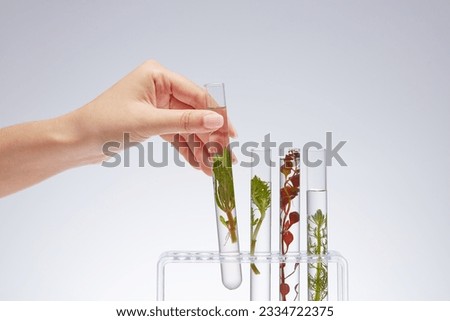 On the rack are test tubes containing test samples of different types of seaweed on a white background. Female hand lifting a test tube out of the rack