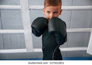 On the ring. Boy is practicing boxing in the gym with glowes on hands.