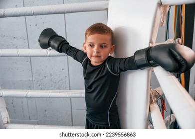 On the ring. Boy is practicing boxing in the gym with glowes on hands.
