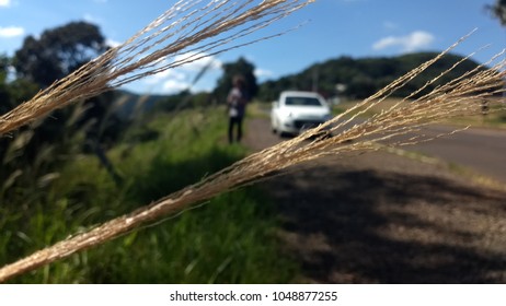 On the Road