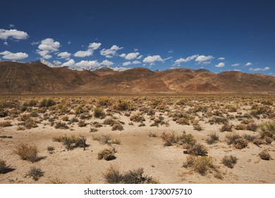 On The Road To Manzanar National Historic Site