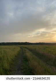 On The Road Through The Meadow Into The Sunset, Field Road Leading Into The Sunset