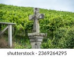 On the roads of Galicia there are many stone crosses that accompany the pilgrim on the way to Santiago