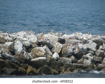 on the rocks