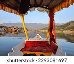 On Shikara ride in Dal Lake Kashmir during sunset hours of a spring day