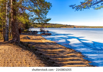 On the shore of a forest lake. Lake shoreline. Lake shore landscape. Frozen lake landscape