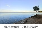 On the shore of the lake pine trees grow, stones and pieces of reinforced concrete lie. On the far shore is a forest. There are ripples on the water and ducks swimming. Sunny autumn weather