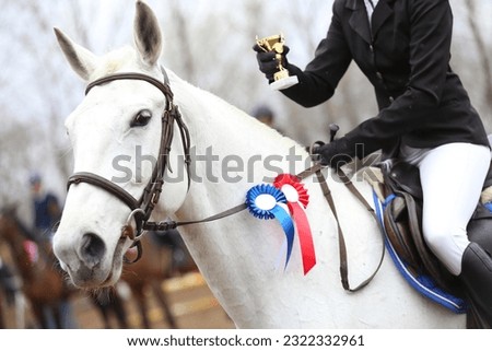 On a show jumper horse in the saddle sits a rider with a rosette of the winner in equestrian competitions during the winners event. Equestrian sports and victory. Riding a horse.Equestrian background.