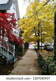 November‎ ‎5‎, ‎2018: On The Side Walk ,leaves Are Turning The Color Into Red And Yellow On Autumn Season At W Ardmore Ave, Chicago, IL 