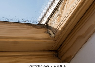 On skylights mildew forms by inadequate ventilation
