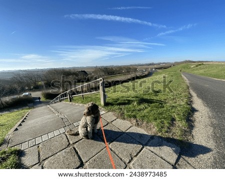 Similar – Image, Stock Photo sandy wide Fantastic dunes