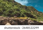 On steep and rocky cliffs or hillsides, clumps of grass are often seen sticking together, adding a green feel.