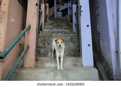 Imágenes Fotos De Stock Y Vectores Sobre Small House Stairs