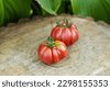 tomato purple calabash