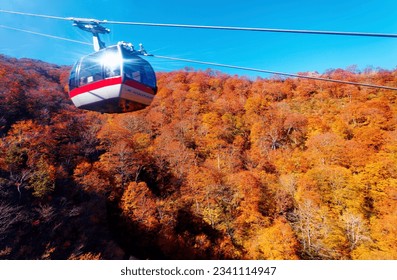 On a sunny autumn day, cable cars of Tanigawadake 谷川岳 Ropeway transport tourists up and down Tenjidaira Ski Resort in Minakami 水上, Gunma 群馬, Japan, with brilliant fall colors on the mountainside
