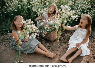 On a sunny summer day, three happy girls in summer dresses collect field frames on the lawn. Summer vacation. Carefree childhood. Children collect wildflowers. Basket of flowers. - Shutterstock ID 1938859093