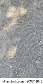 On The Surface Of The Garden Path, Sun Spots And Stripes From Rake Teeth