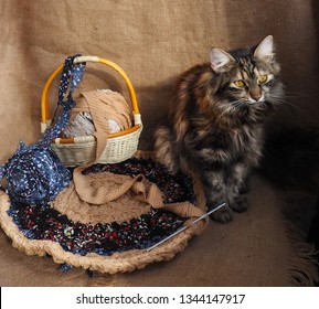 On the table is the cat lying next to the Mat,a basket of thread,skeins,crochet hook.