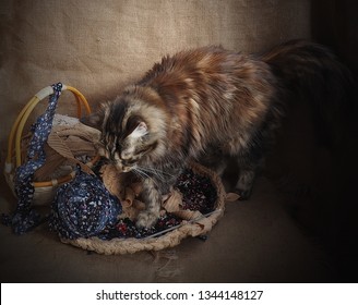 On the table is the cat lying next to the Mat,a basket of thread,skeins,crochet hook.