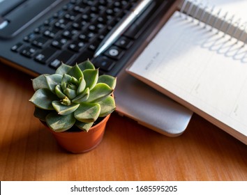 On The Table Is A Home Plant, A Computer, An Open Diary And A Pen