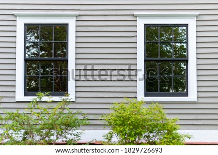 On a tan wooden wall, two double hung windows with black wood frames and multiple glass panes. The wall has narrow clapboard with white trim. There are two green bushes in front of the window.