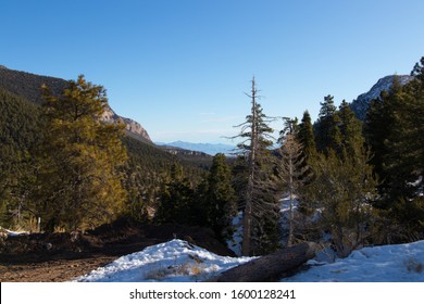 On Top Of Mount Charleston In The Winter In Nevada