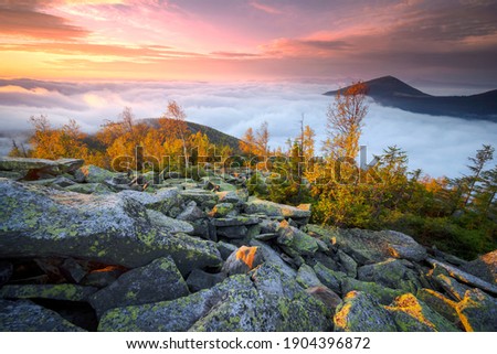 Similar – Image, Stock Photo Sunrise after rain