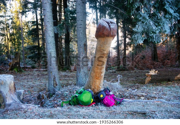 On the\
tourist route, a huge imitation of the male penis of the penis with\
picturesque anatomical details was carved from a fallen spruce\
tree; climbers are photographed with it\
cheerfully